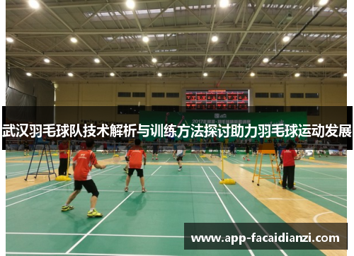 武汉羽毛球队技术解析与训练方法探讨助力羽毛球运动发展