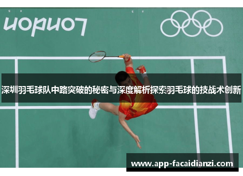 深圳羽毛球队中路突破的秘密与深度解析探索羽毛球的技战术创新