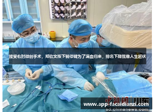 接受右肘微创手术，郑钦文按下暂停键为了满血归来，排名下降就像人生起伏